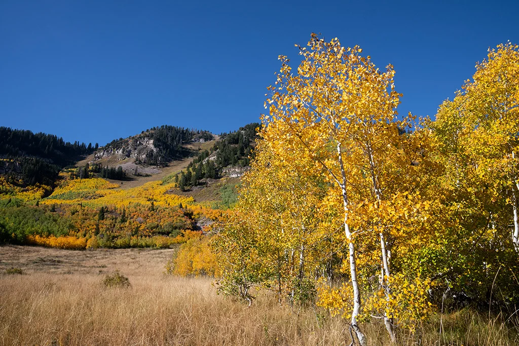 Aspen, USA